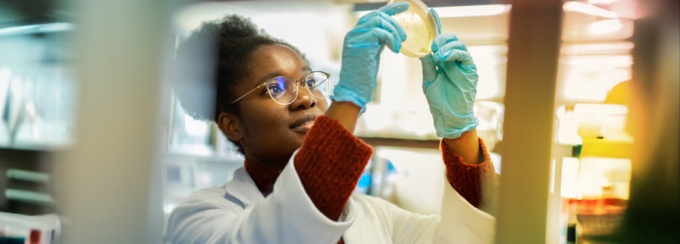 Researcher in a lab setting examining a petri dish.